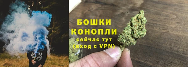 сатива Нягань
