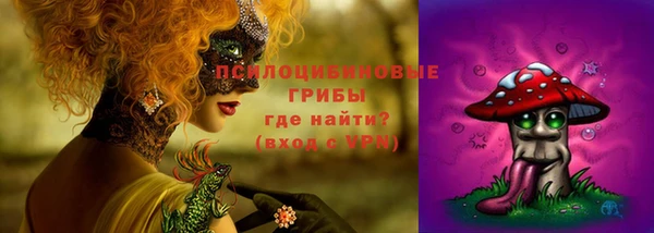 меф Няндома