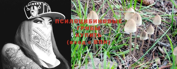 меф Няндома