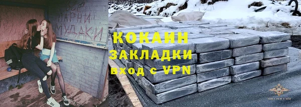сатива Нягань