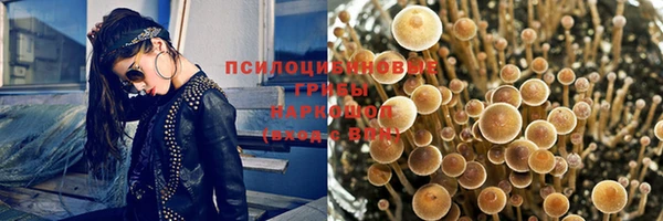 меф Няндома