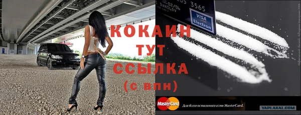 меф Няндома
