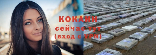 меф Няндома