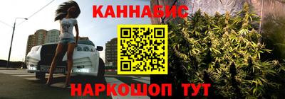 Альфа ПВП Ставрополь