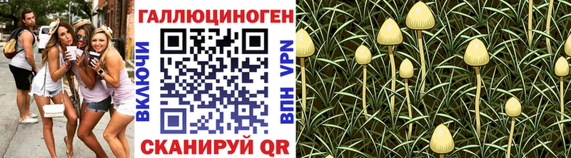 наркотики даркнет клад Псилоцибиновые грибы Magic Shrooms Ржев