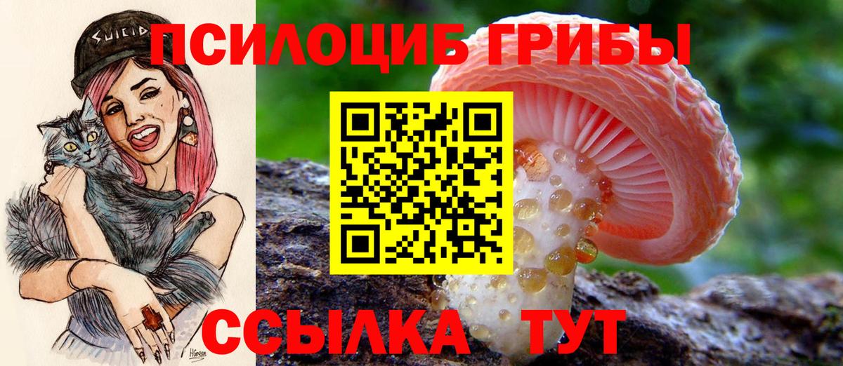 Ржев  Псилоцибиновые грибы мухоморы  Вход с VPN 