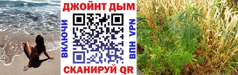 МАРИХУАНА ГИДРОПОН  Ржев 